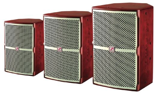 Ultra-starke Niedrigfrequenz KF-Serie KTV Lautsprecher 45Hz-20KHz 250W 300W 400W Verschiedene komplexe Klang